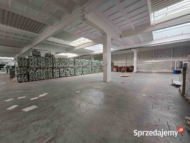 Kompleks przemysłowy w Łosicach Łosice