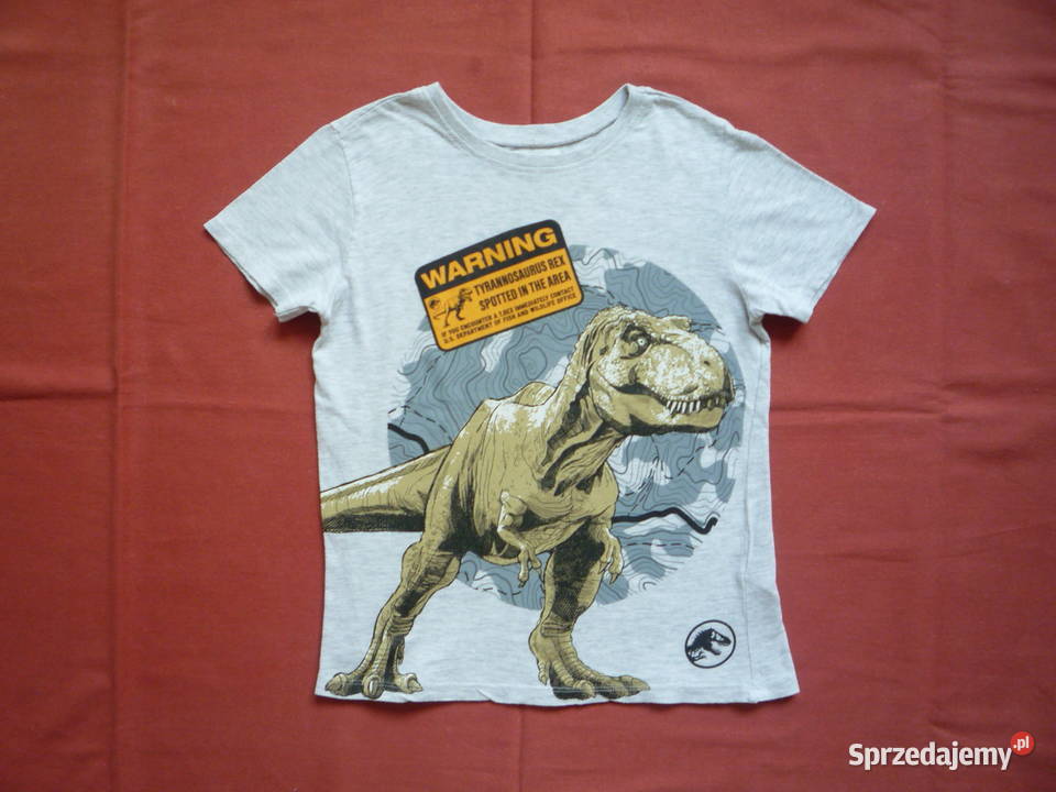 Sinsay 122128 Koszulka szara Bluzka Tshirt Szczecin sprzedam