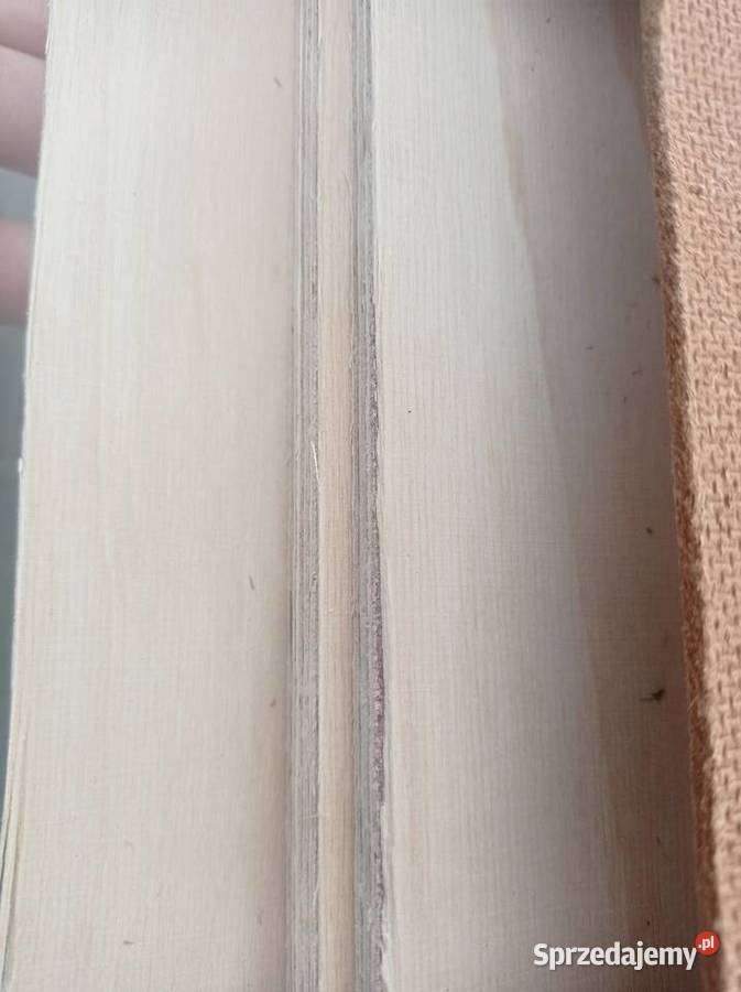 Sklejka surowa PASKI 9mm 255mm x 3080mm wielkopolskie Brzeźno