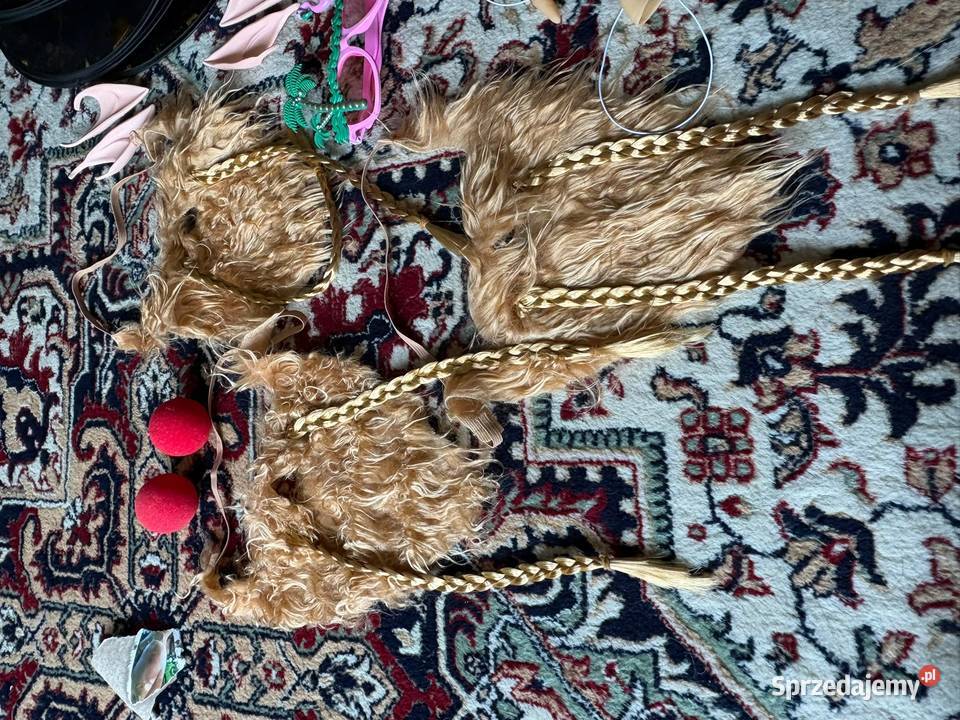 Stroje karnawał cosplay halloween mix śmieszne