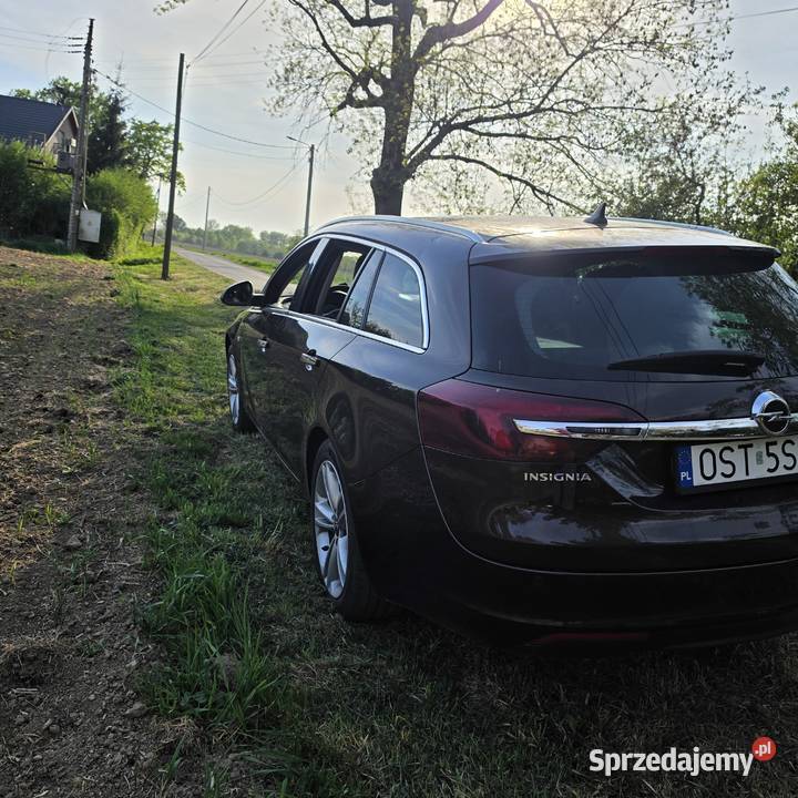 Opel Insignia 20 CDTI 163 Automat Full ACC Skóra Niemodlin