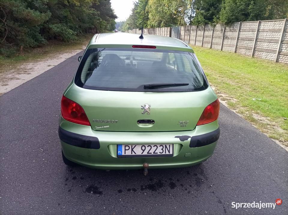 Peugeot 307 20 HDi Hak wspomaganie kierownicy łódzkie Wieruszów
