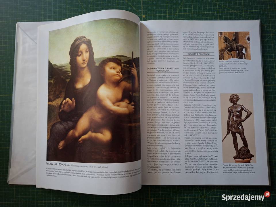 Wielka kolekcja sławnych malarzy 60 tomów sprzedam