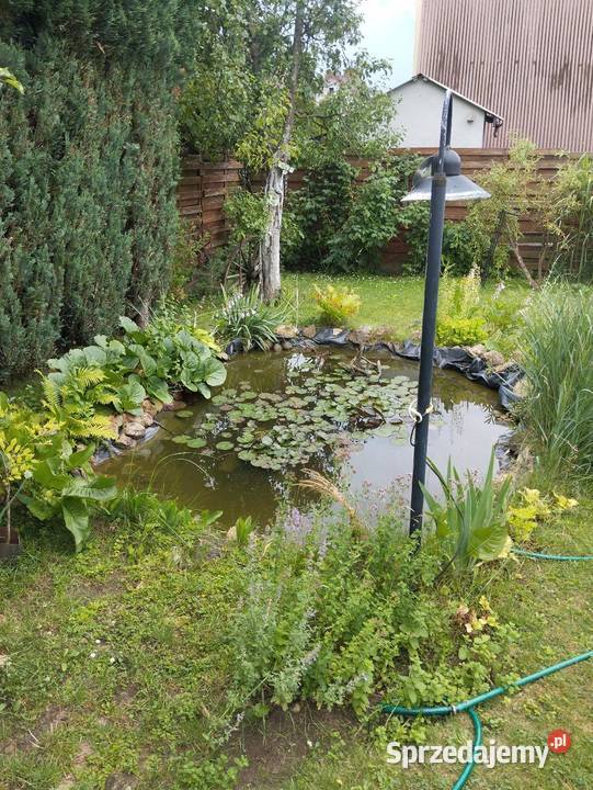 Sprzedam beton komórkowy śląskie Boguchwałowice