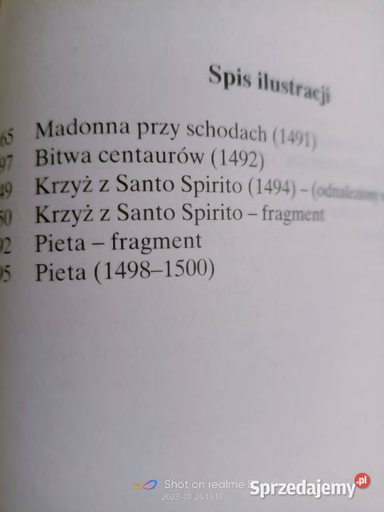 Udręka i ekstaza książki Warszawa księgarnia literatura piękna - proza zagraniczna