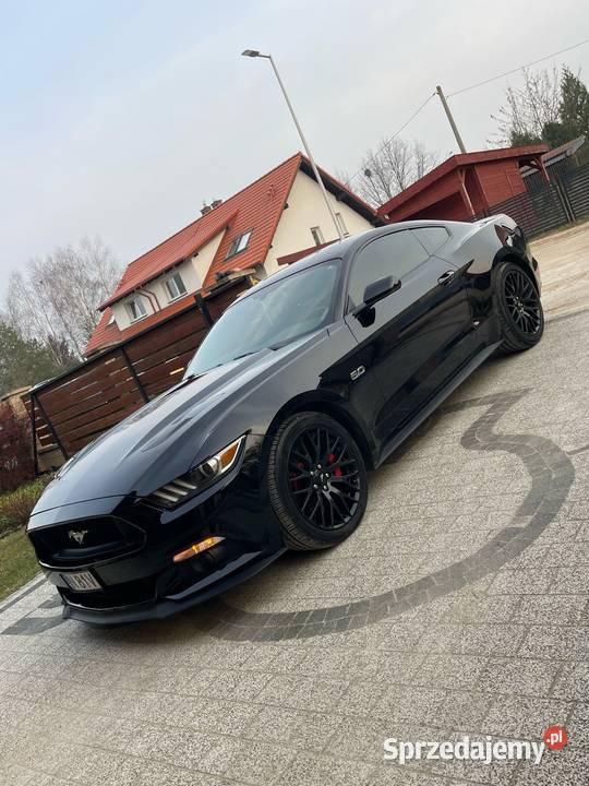 Ford Mustang GT Giżycko