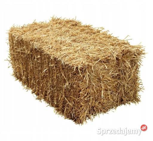 Sprzedam słomę w kostkach zbiór 2025 Pisklaki sprzedam