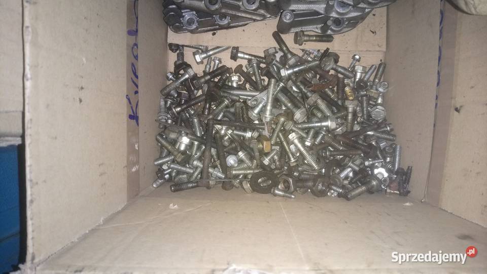 Tecumseh komplet śrub silnika Bukowa