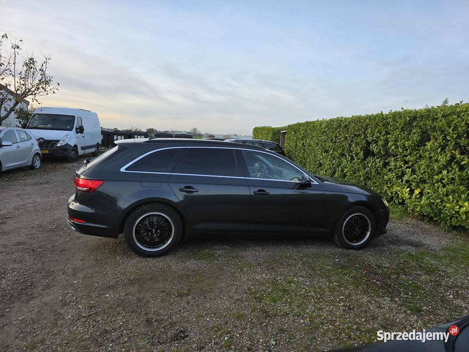 Audi A4 B9 Zadbane