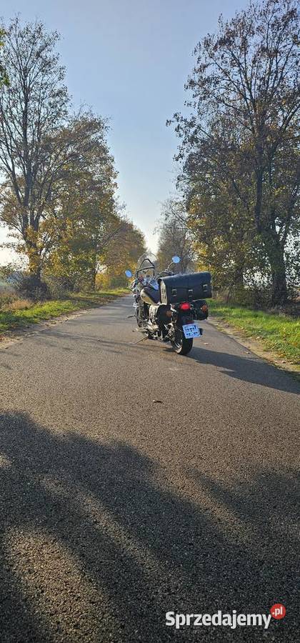 Kawasaki Vulcan 800 1999r mazowieckie Baboszewo