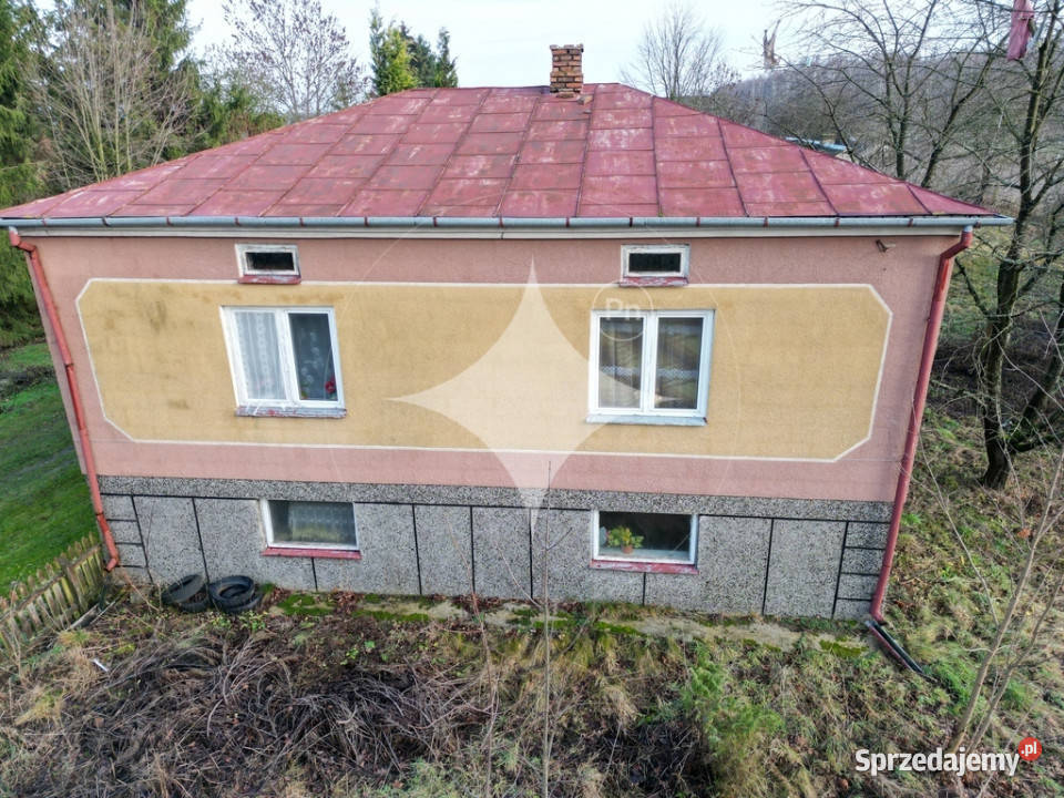 Siedlisko w sercu Poleskiego Parku Narodowego blacha Sprzedaż Sprzedaż lubelskie