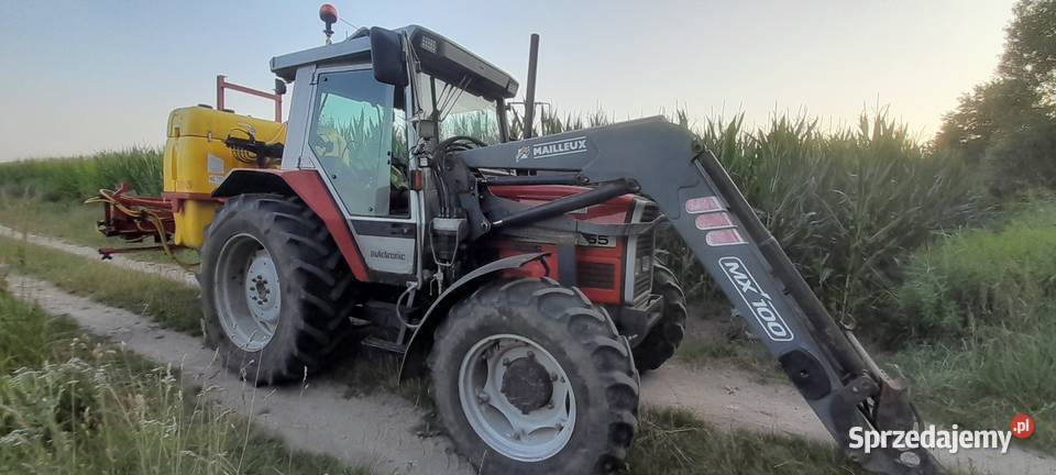 Sprzedam Massey ferguson 3065 Skrzynia biegów Manualna Syców