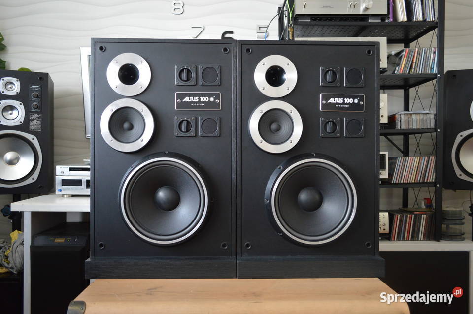 Altus 100 Eksportowe HGS Electronic Renowacji Haczów