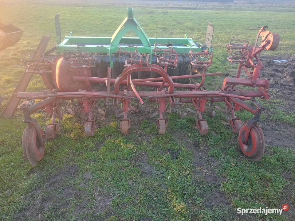 Pielnik do buraków warzyw nieuszkodzony wielkopolskie Gostyń