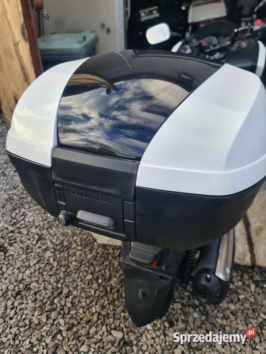 Honda Forza NSS300 niski przebieg bezwypadkowy skuter Pelplin sprzedam