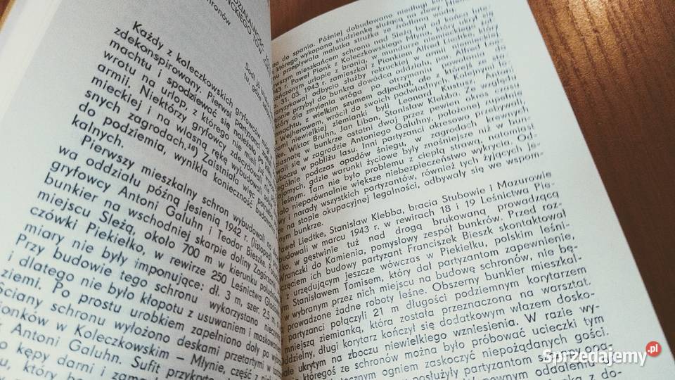 Sleżą Zarys walk Kaszubów lesockich Bolesław historia, archeologia Gdańsk