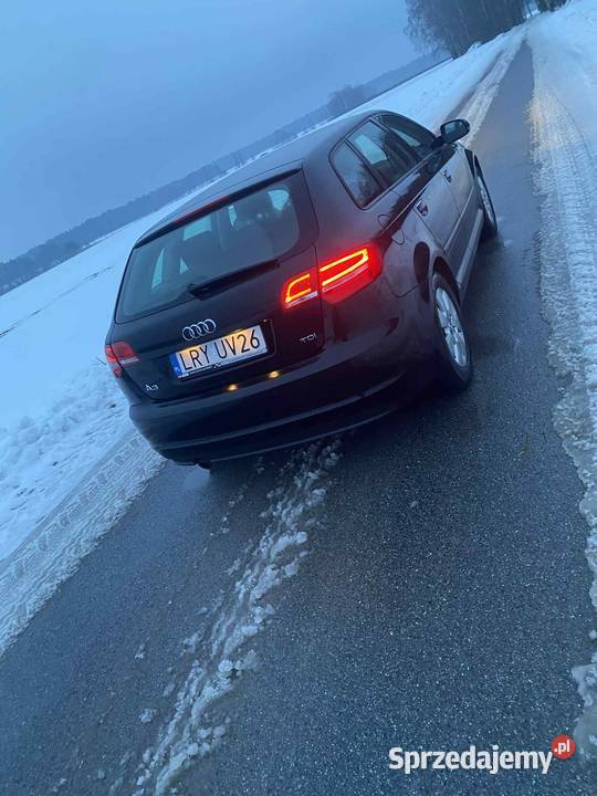 Audi A3 8P 16Tdi 2012 Motoryzacja Rzyczyna