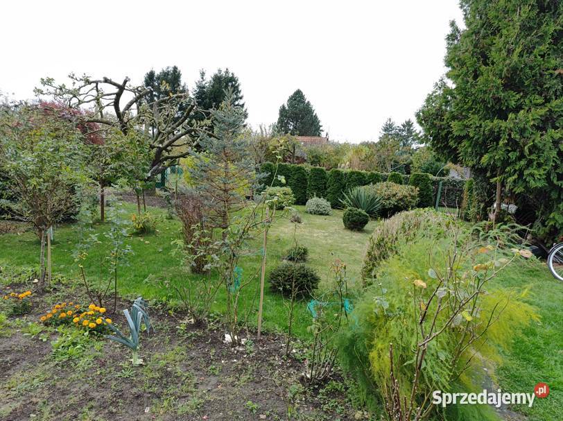 Działka rekreacyjna ROD morza 18m Kamień Pomorski