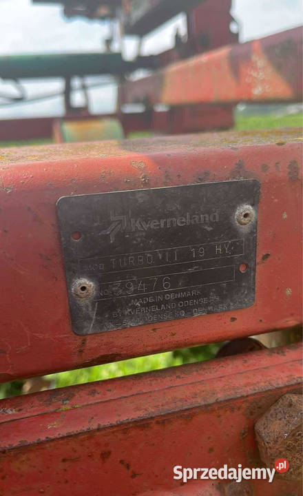 Sprzedam gruber ścierniskowy nieuszkodzony Kalinowo