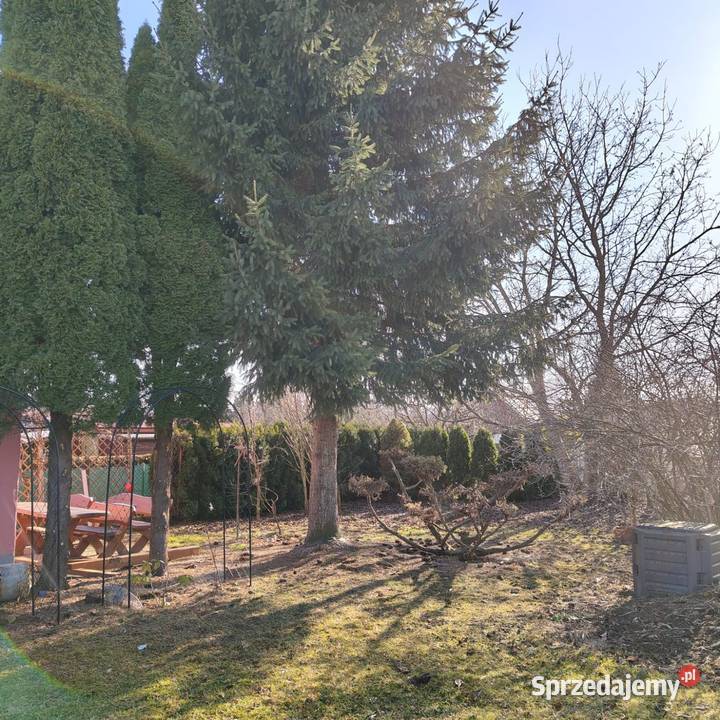 Sprzedam działkę w ROD RELAKS Dębica