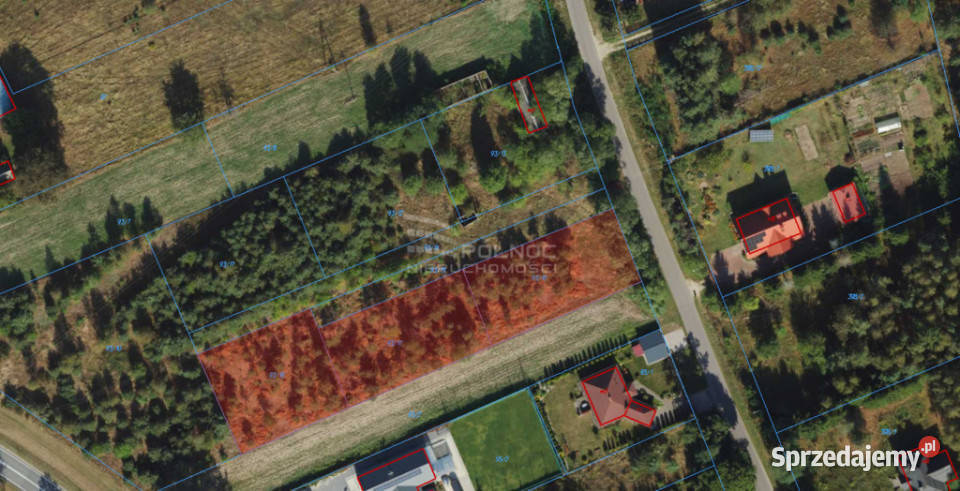 Duża działka budowlana w Wólce Plebańskiej Wólka Plebańska