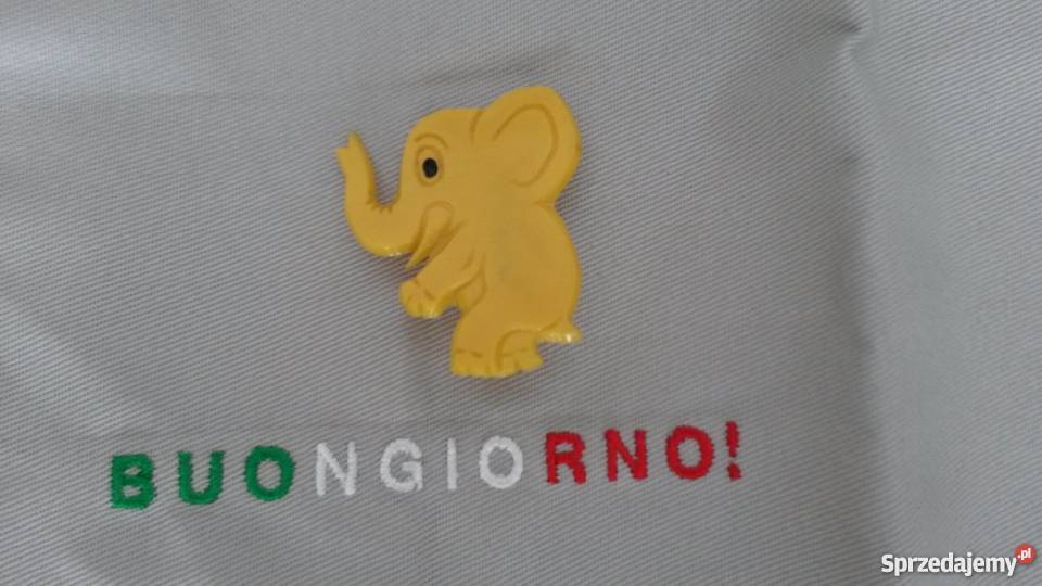 Broszka słonik z podniesiona trąbą Gliwice