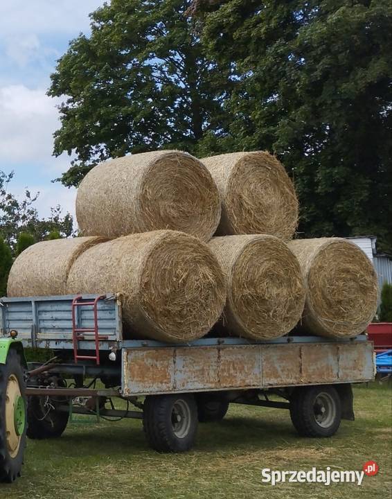Słoma z stodoły 120x120