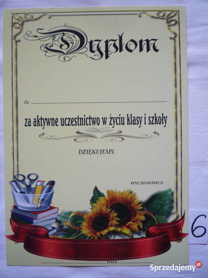 Dyplomy szkolne Pilność i sukcesy w nauce Dyplom Artykuły szkolne Szczecin