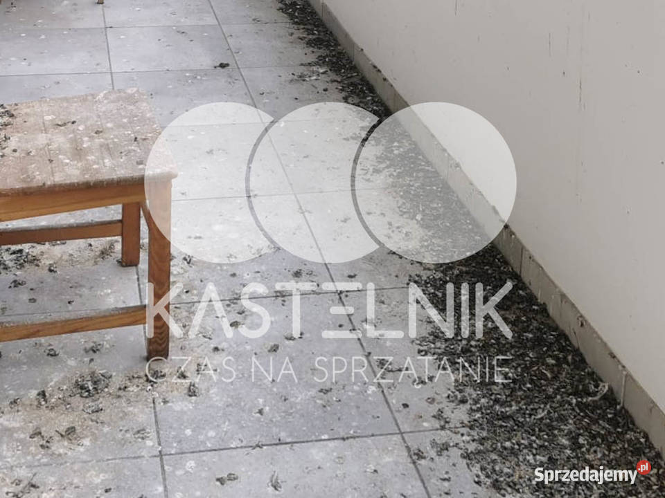 Sprzątanie gołębiach Gryfino Kastelnik mycie