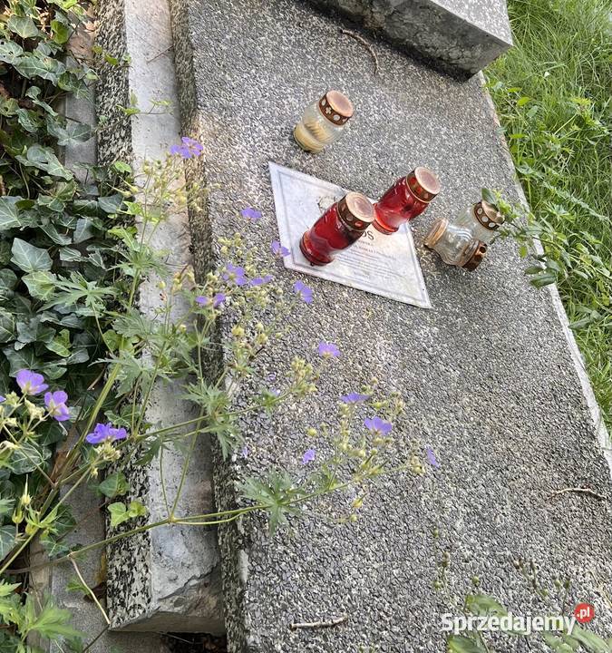 Sprzedam miejsce pochówkuCmentarz Rakowicki małopolskie Kraków