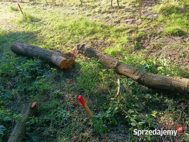 KOMPLEKS DZIAŁEK BUDOWLANYCH Z DOSTĘPEM DO Słupca sprzedam