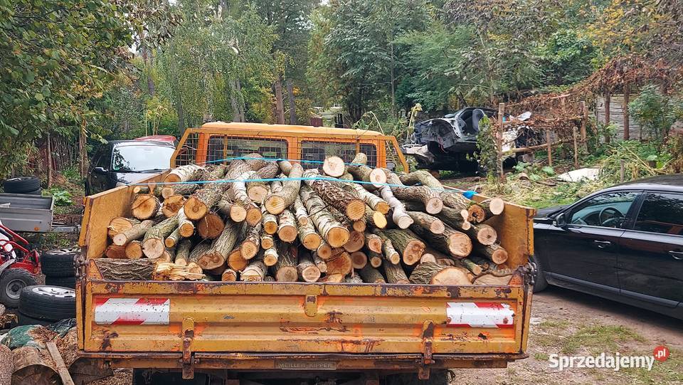 Drewno opałowe kominkowe z transportem Radom