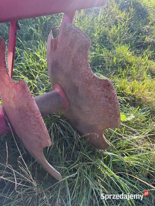 Talerzówka Włocławek