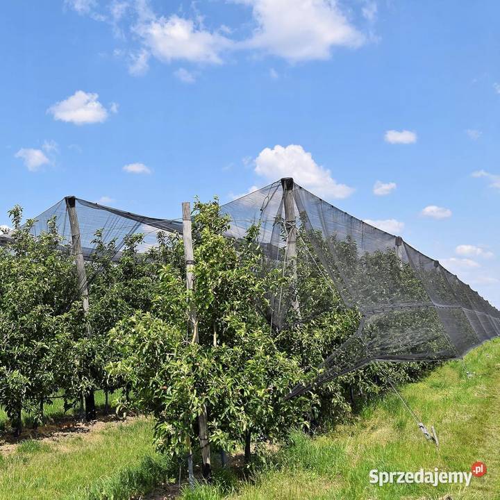 Siatka Ochronna Drzew Roślin Kwiatów Przed