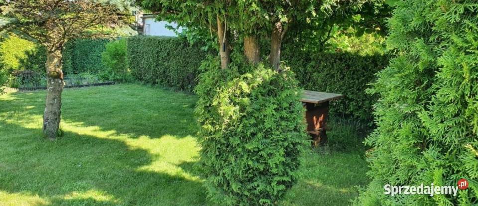 Działka ROD SUCHARSKIEGO Wejherowo 429m2 DOMEK