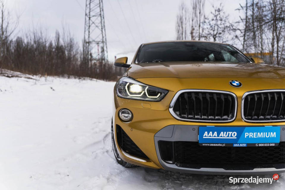 BMW X2 sDrive18i Rok produkcji 2019 Katowice sprzedam