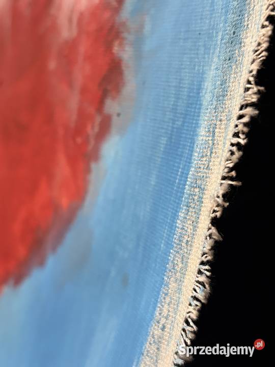 Lew abstrakcja śnieżnego kota dolnośląskie Duszniki-Zdrój