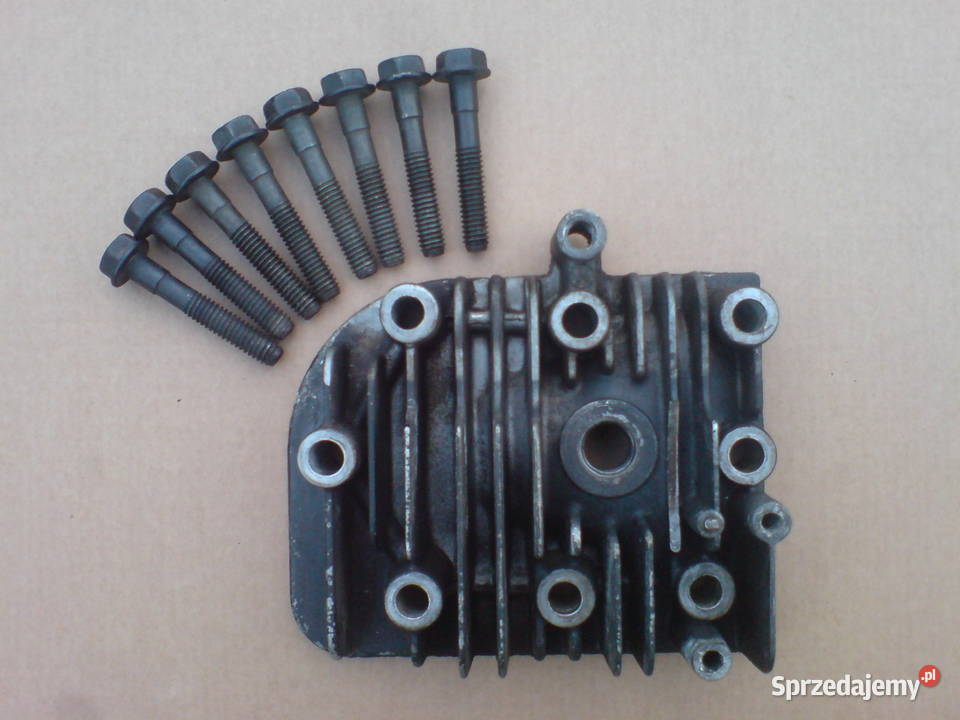 Głowica BriggsStratton Classic Sprint Series 450 Koszalin