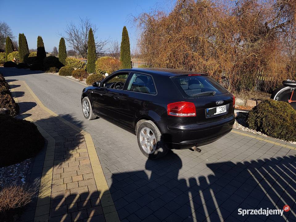 Audi a3 8p 16 mpi