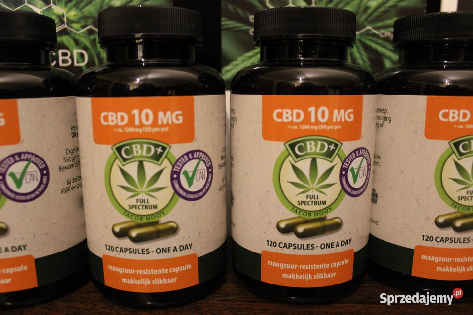 Jacob Hooy CBD 10mg 120 Kapsułek Pozostałe Łódź