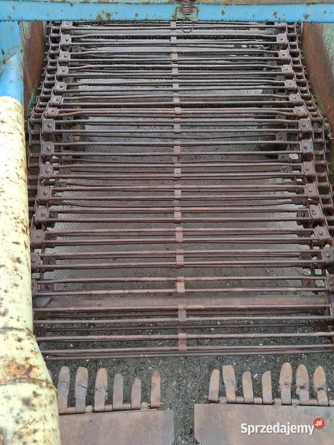 Kopaczka do ziemniaków elewatorowa Kwaśniów Górny