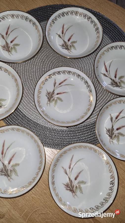 Miseczki salaterki Limoges Wola Podłężna