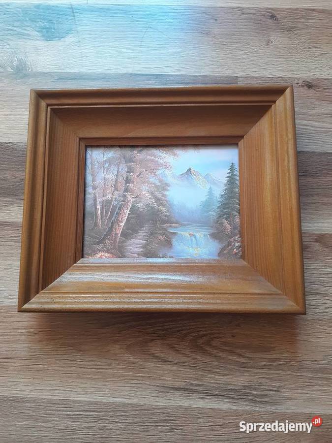 Obrazy natura 3 D w szerokiej stylowej i Sosnowiec sprzedam