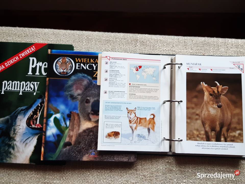 Książki medyczne poradniki wojenne religijne o Kraków