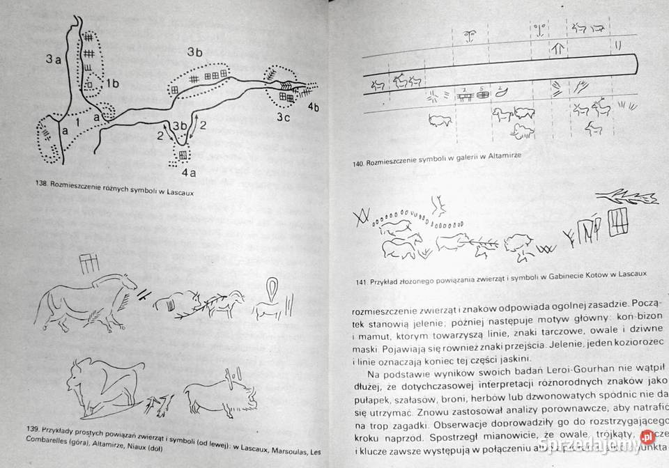 Wenus epoki lodowej Rudolf Drssler Chełm