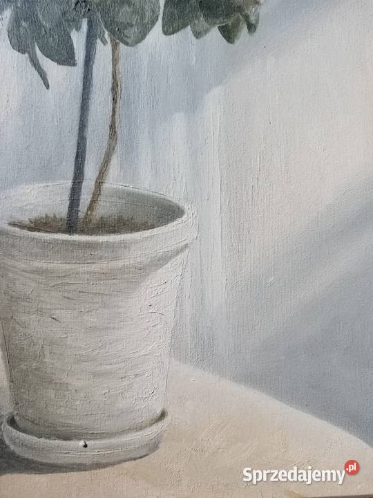 Obraz olejny 40x70 Azalia w donicy Przeworsk