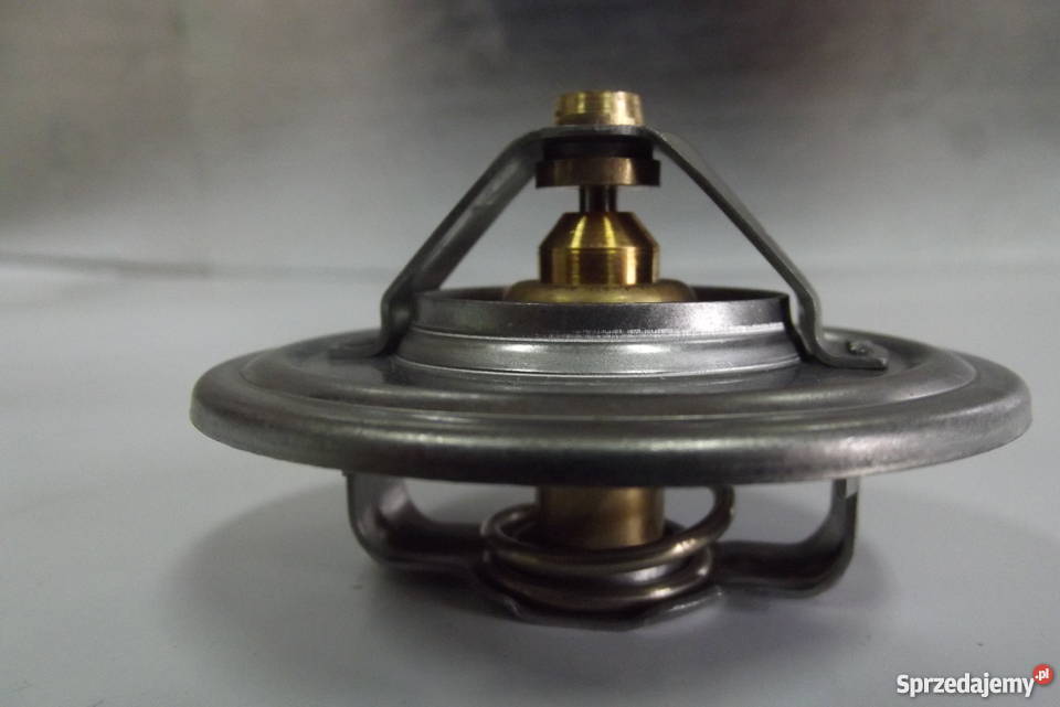 Termostat silnik SW 400 Bizon Parczew