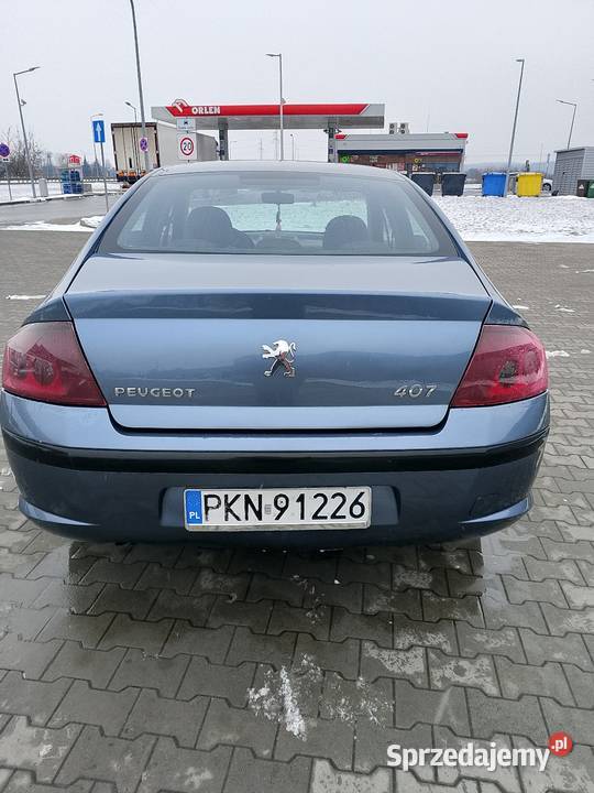 Peugeot 407 16 HDi wielkopolskie Turek