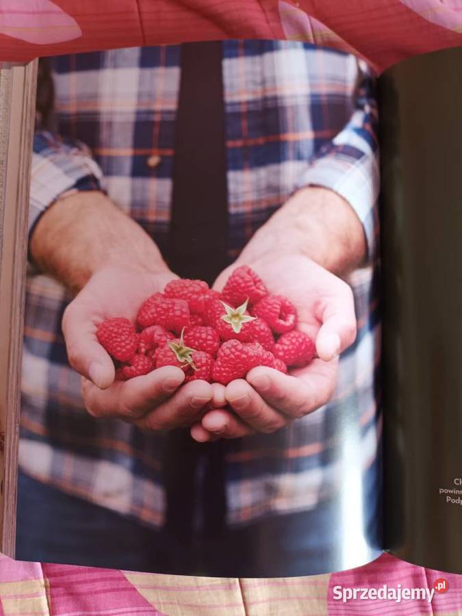 kuchnia śródziemnopolska Legnica