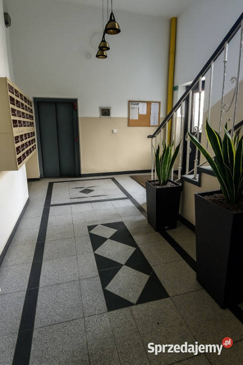 Mieszkanie 825 m z potencjałem w sercu Warszawy 83m2 mazowieckie Warszawa sprzedam